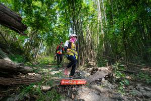 BIB: 
                            <button type="button" onclick="openModal(19393435)" class="btn btn-primary btn-sm float-right btn-popup" data-toggle="modal" data-target=".modal-high-quality">
                        <i class="fas fa-shopping-cart"></i> Add to Cart
                    </button>
                                            <button type="button" onclick="isThisMe(19393435, true)" class="btn btn-success btn-sm float-right btn-popup btn-isme hidden" data-toggle="tooltip" data-placement="bottom" title="นี่คือรูปของคุณใช่ไหม คลิกที่นี่เพื่อเอาเข้าอัลบั้ม">
                        <i class="fas fa-plus"></i> Add to album
                    </button>
                    <button type="button" onclick="isThisMe(19393435, false)" class="btn btn-warning btn-sm float-right btn-popup btn-isnotme hidden">
                        <i class="fas fa-ban"></i> Remove from album
                    </button>